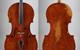 1743 Guadagnini cello