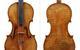 Panette violin